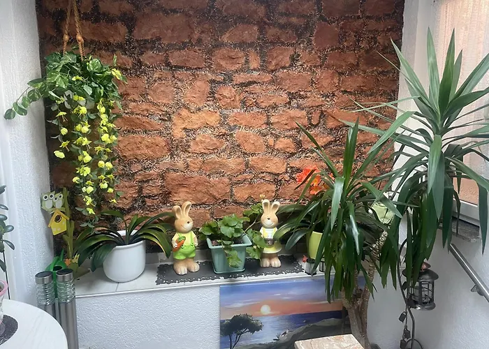 Nova Haus
