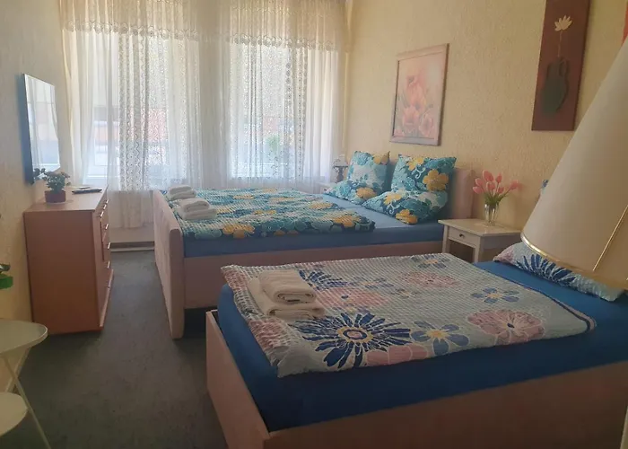 Nova Haus